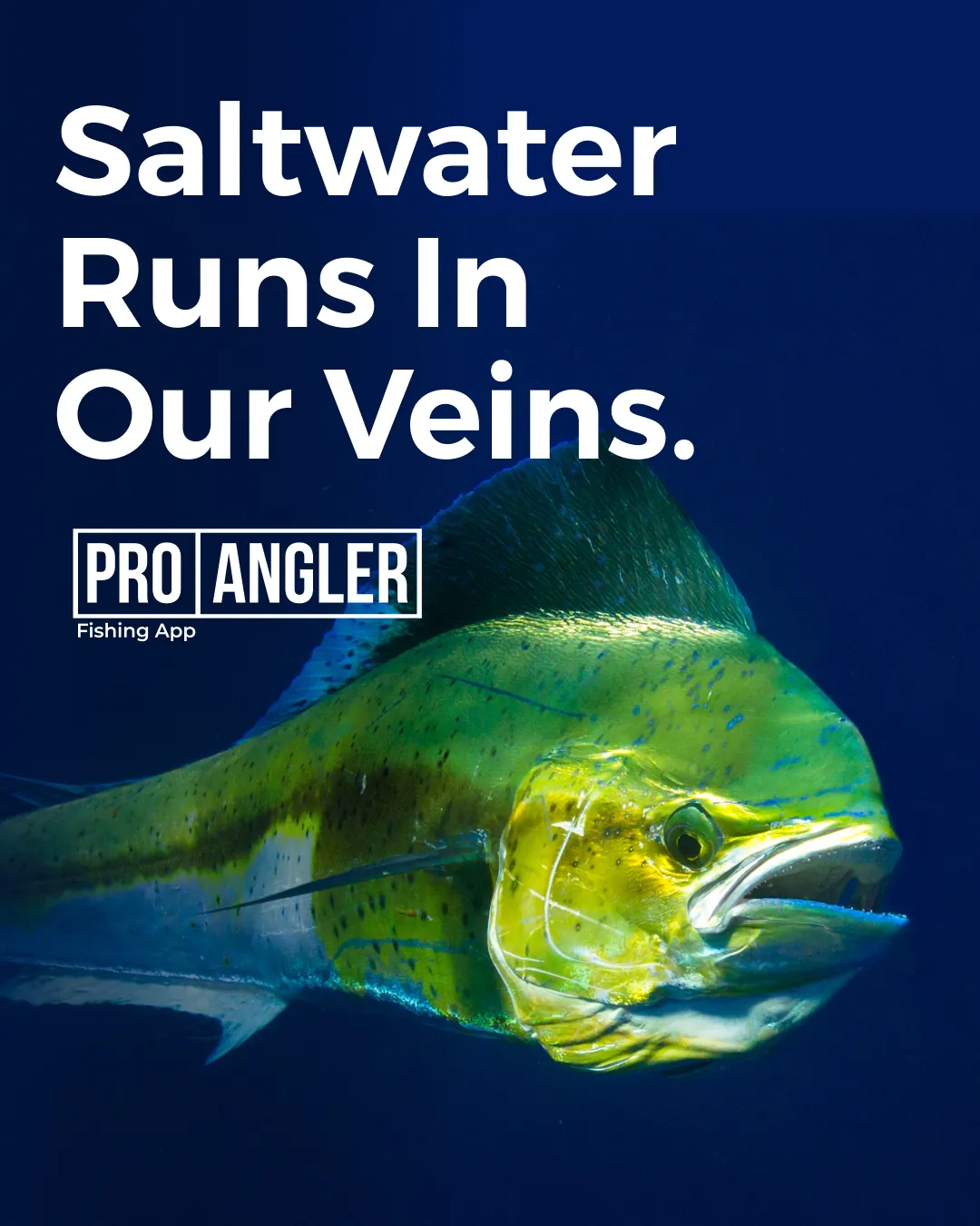 Pro Angler Screen 2