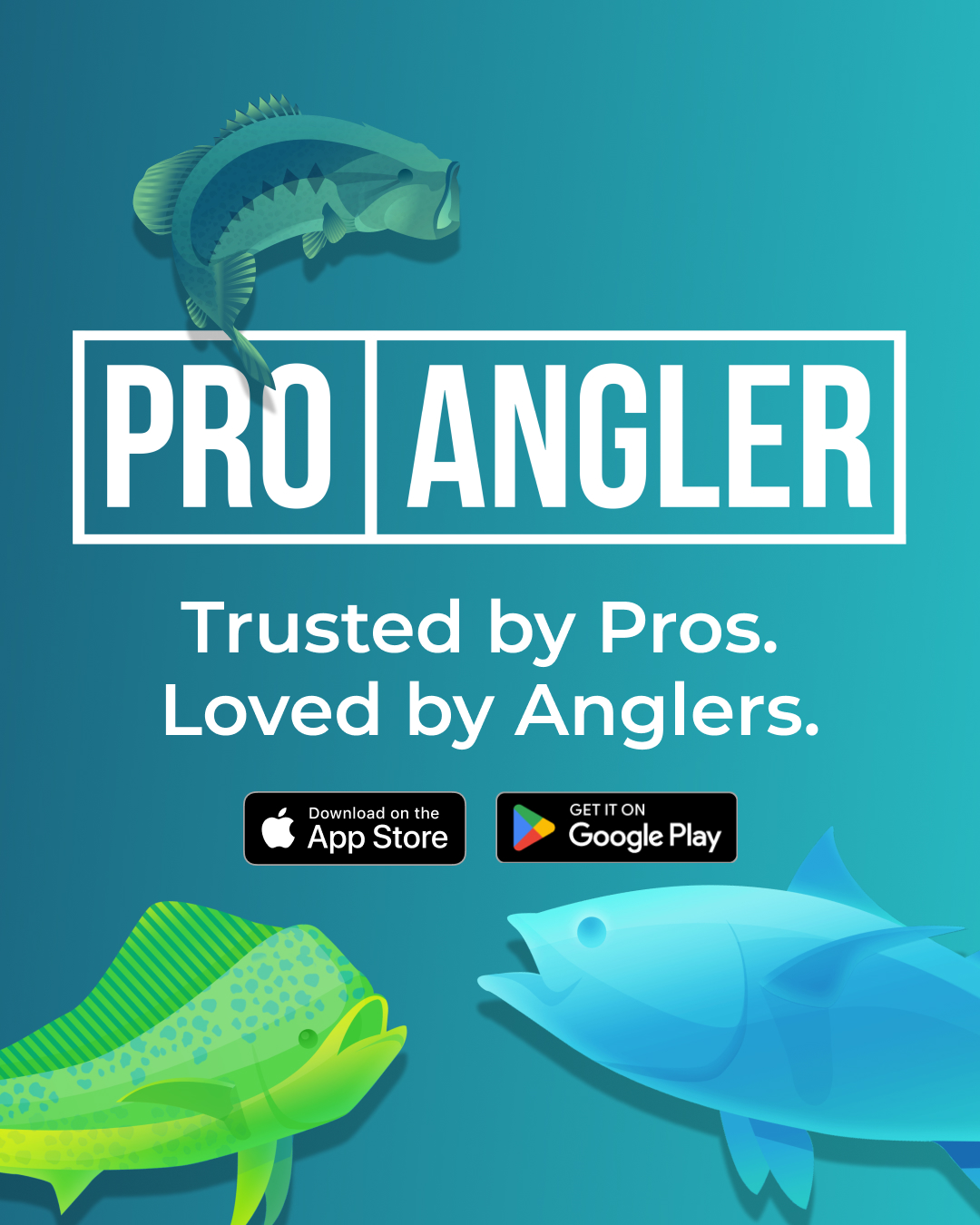 Pro Angler Screen 5