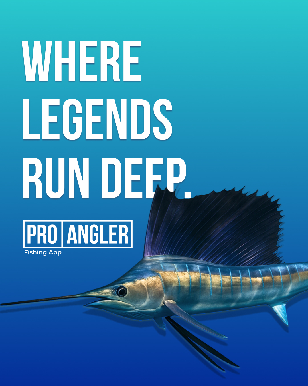 Pro Angler Screen 7