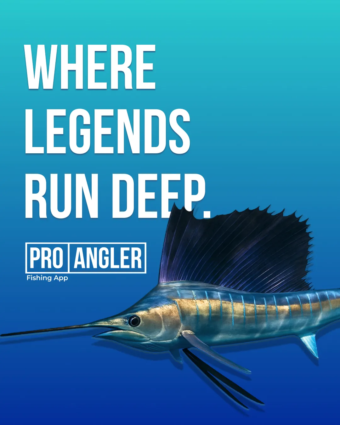 Pro Angler Screen 7