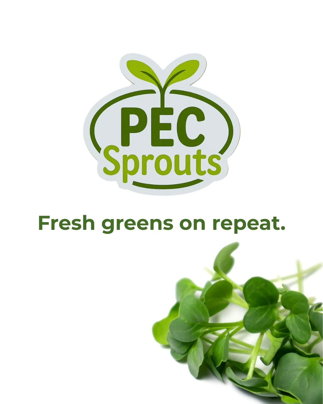 PEC Sprouts microgreens logo design, Prince Edward County